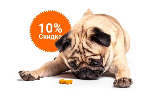 -10% на зоотовары акция в Камышлове компании Инженер выгодно