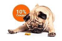 -10% на зоотовары акция в Камышлове компании Инженер выгодно