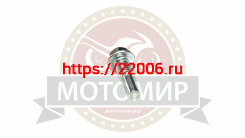 Болт ролика натяжителя цепи ГРМ Альфа, Zodiak (гладкого), среднего (в цилиндр)