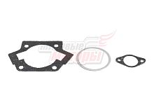 Набор прокладок Пл (ремнабор) (3 шт: гол.+цил.+карб.) (Россия)